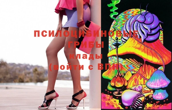 экстази Новозыбков