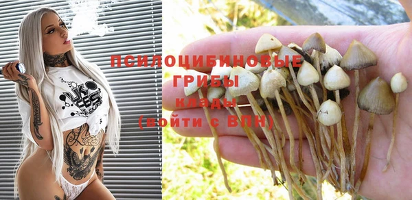экстази Новозыбков