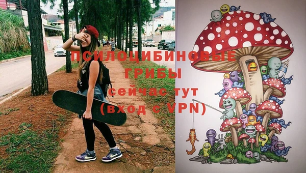 МДПВ Новокубанск