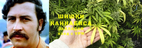 spice Новодвинск