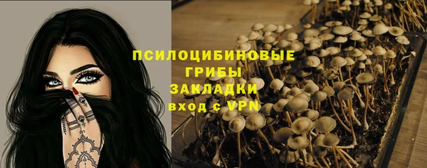 МДПВ Новокубанск