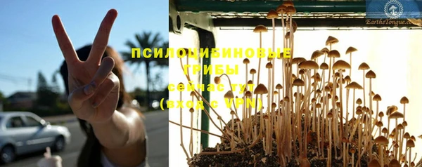 МДПВ Новокубанск