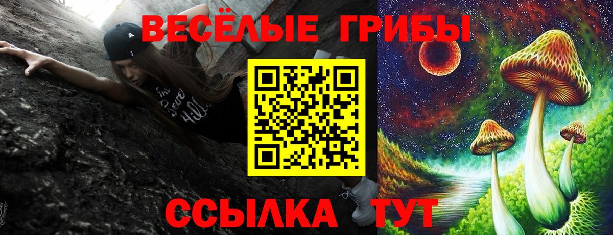 Галлюциногенные грибы GOLDEN TEACHER Махачкала